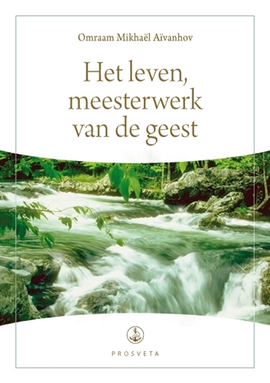 Afbeelding van Synopsis Het leven, meesterwerk van de geest