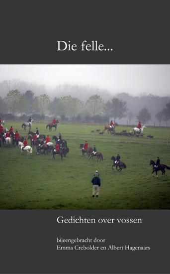 Afbeelding van Die felle...