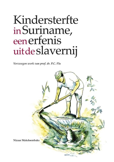 Afbeelding van Verzwegen werk van P.C. Flu