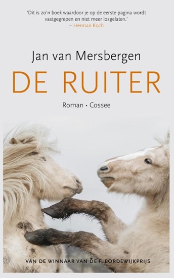 Afbeelding van De ruiter