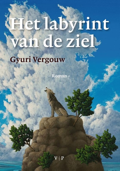 Afbeelding van Het labyrint van de ziel