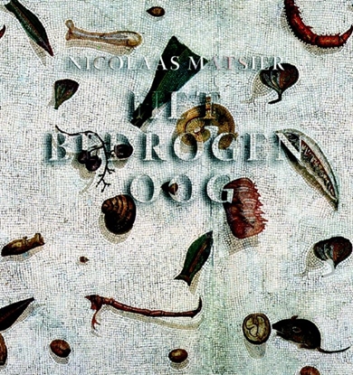 Afbeeldingen van Het bedrogen oog