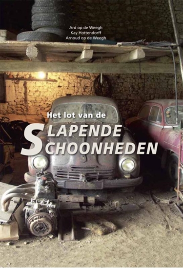 Afbeelding van Het lot van de slapende schoonheden