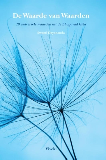Afbeelding van De waarde van waarden