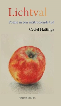 Afbeeldingen van Lichtval