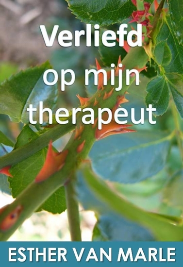 Afbeelding van Verliefd op mijn therapeut