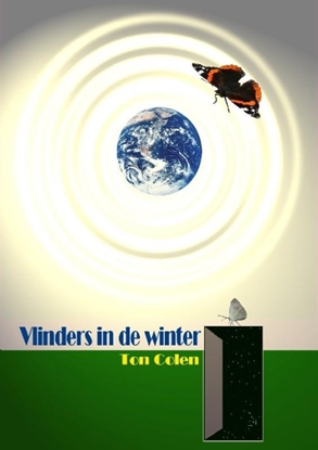 Afbeeldingen van Vlinders in de winter