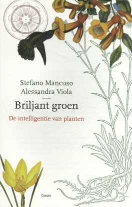 Afbeeldingen van Briljant groen