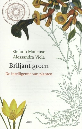Afbeelding van Briljant groen
