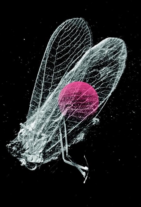 Afbeeldingen van Hier kijken we naar