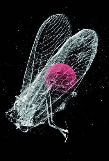 Afbeelding van Hier kijken we naar