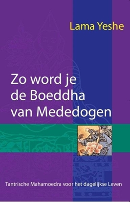 Afbeeldingen van Zo word je de Boeddha van Mededogen