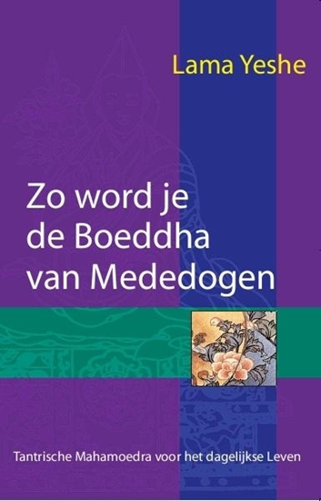 Afbeelding van Zo word je de Boeddha van Mededogen