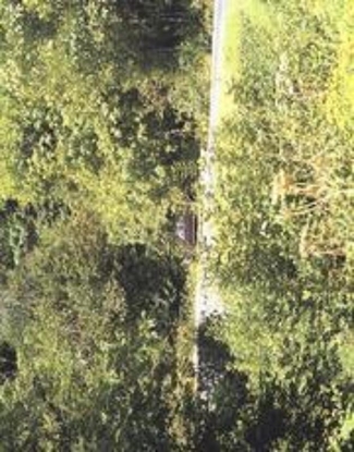 Afbeeldingen van In almost every picture