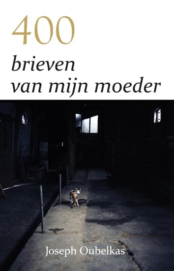 Afbeelding van 400 brieven van mijn moeder