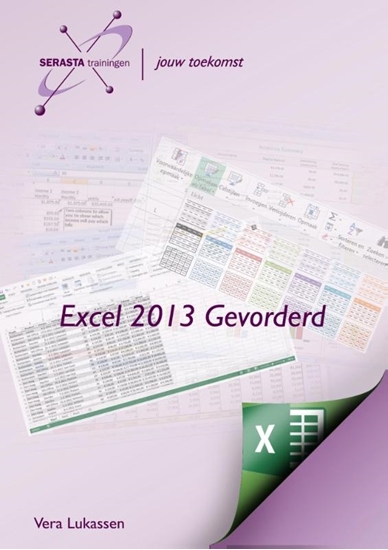 Afbeelding van Excel 2013 gevorderd