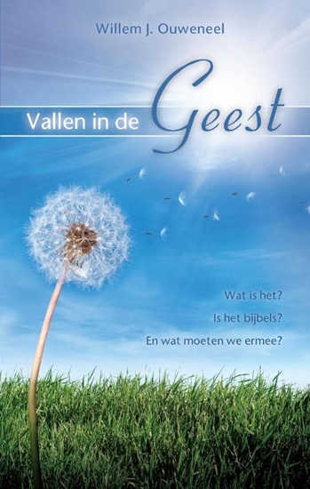 Afbeelding van Vallen in de Geest