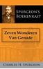 Afbeelding van Zeven Wonderen Van Genade