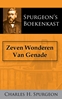 Afbeelding van Zeven Wonderen Van Genade