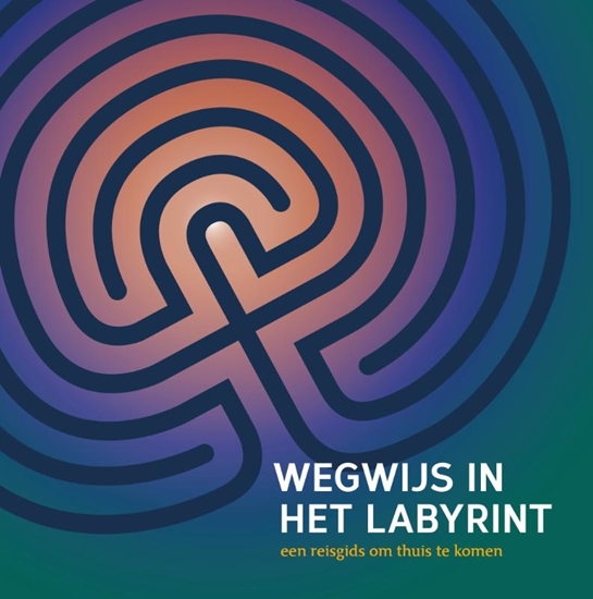 Afbeelding van Wegwijs in het labyrint