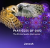 Afbeelding van Particles of God