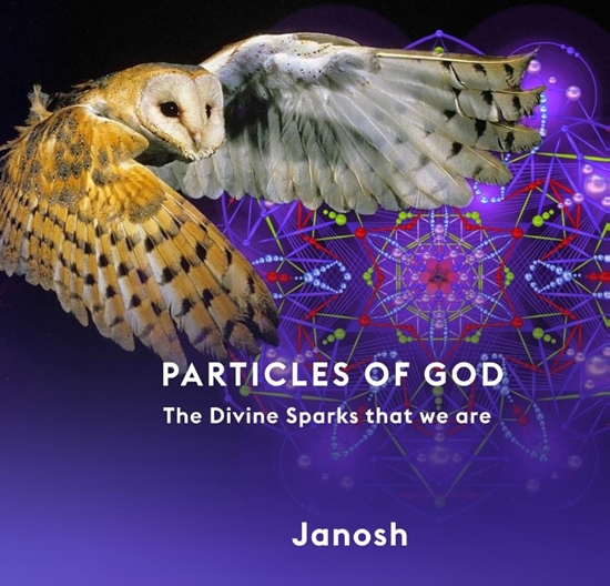 Afbeelding van Particles of God