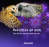 Afbeelding van Particles of God
