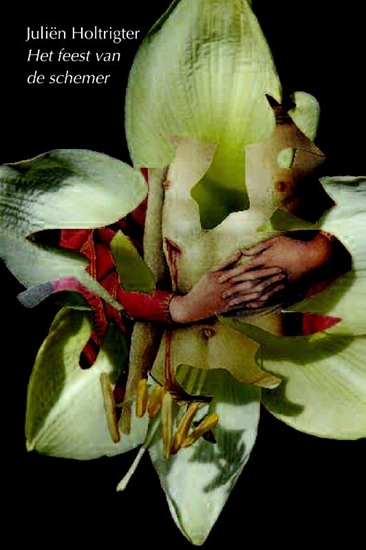 Afbeelding van Het feest van de schemer