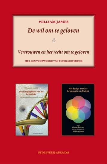 Afbeelding van Fenomenologische bibliotheek De wil om te geloven & religieus vertrouwen en het recht om te geloven
