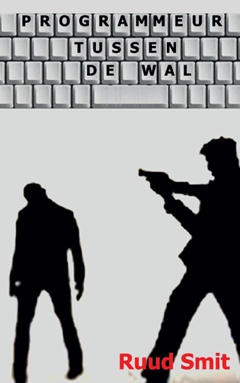 Afbeelding van Programmeur tussen de Wal