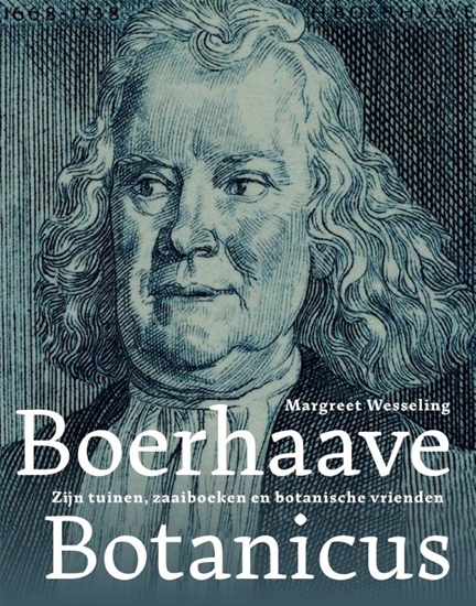 Afbeelding van Boerhaave botanicus