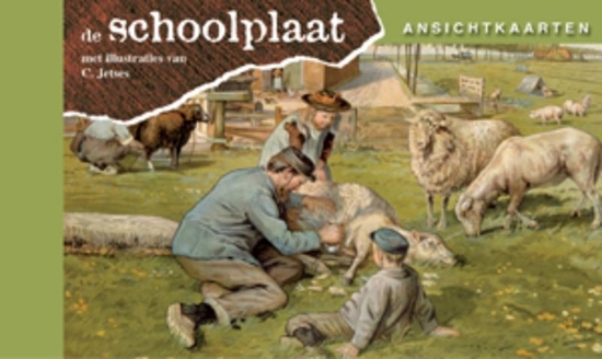 Afbeelding van Ansichtkaarten, de Schoolplaat Het Volle Leven