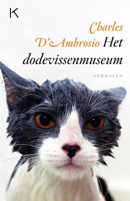 Afbeeldingen van Het dodevissenmuseum