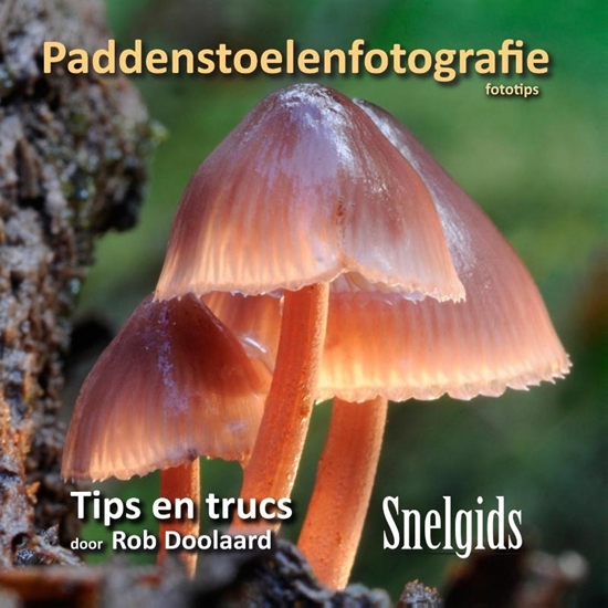 Afbeelding van Paddenstoelenfotografie fototips