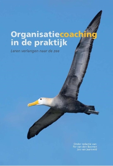 Afbeelding van Organisatiecoaching in de praktijk