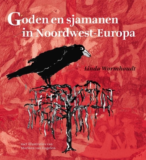 Afbeelding van Goden en sjamanen in Noordwest-Europa