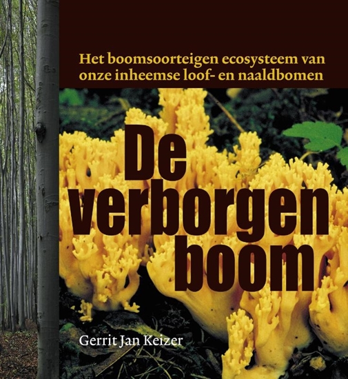 Afbeelding van De verborgen boom