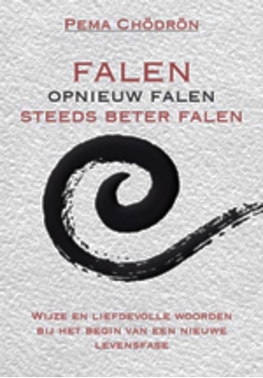Afbeeldingen van Falen - opnieuw falen - steeds beter falen