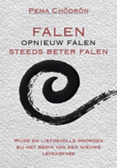 Afbeelding van Falen - opnieuw falen - steeds beter falen
