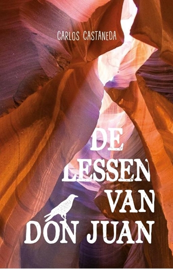 Afbeelding van De lessen van Don Juan