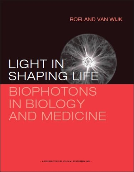 Afbeelding van Light in shaping life