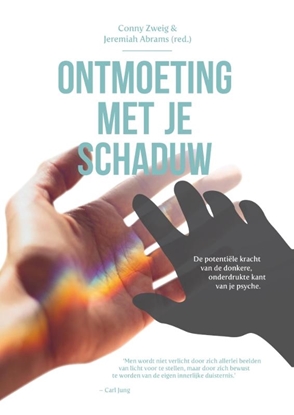 Afbeeldingen van Ontmoeting met je schaduw