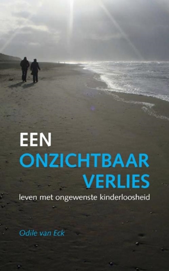 Afbeelding van Een onzichtbaar verlies