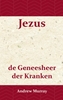 Afbeelding van Jezus de geneesheer der kranken