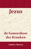 Afbeelding van Jezus de geneesheer der kranken