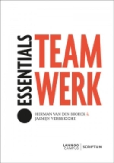 Afbeelding van Essentials Teamwerk
