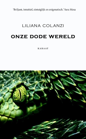 Afbeelding van Onze dode wereld