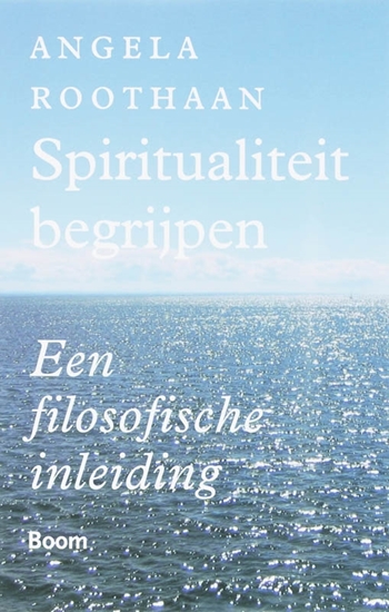 Afbeelding van Spiritualiteit begrijpen