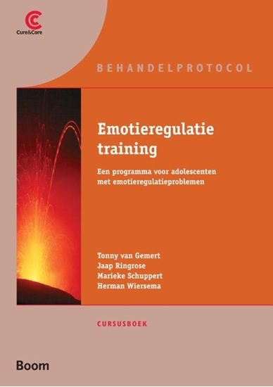 Afbeelding van Emotieregulatietraining