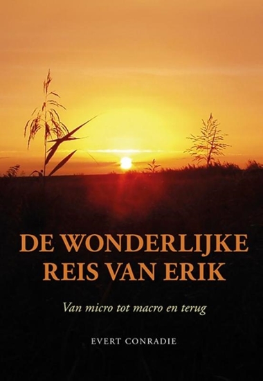 Afbeelding van De wonderlijke reis van Erik